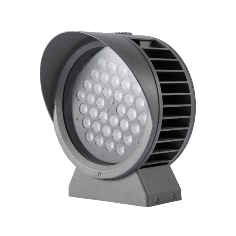 100w IP65 LED prožektorius